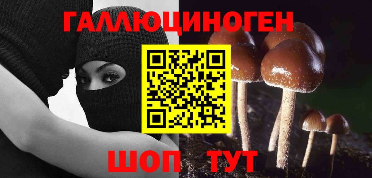 Старая Купавна  Галлюциногенные грибы Cubensis  Вход с VPN  дарнет шоп  Галлюциногенные грибы ЛСД 